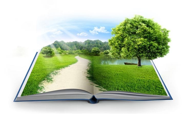 الدراسات البيئية في المملكة العربية السعودية: الدليل الشامل لجميع الدراسات والتقارير البيئية والامتثال البيئي للمشاريع والمنشآت